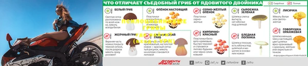 а пвп мука Михайловка