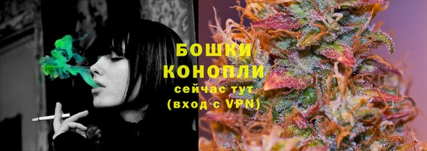 прущие грибы Навашино