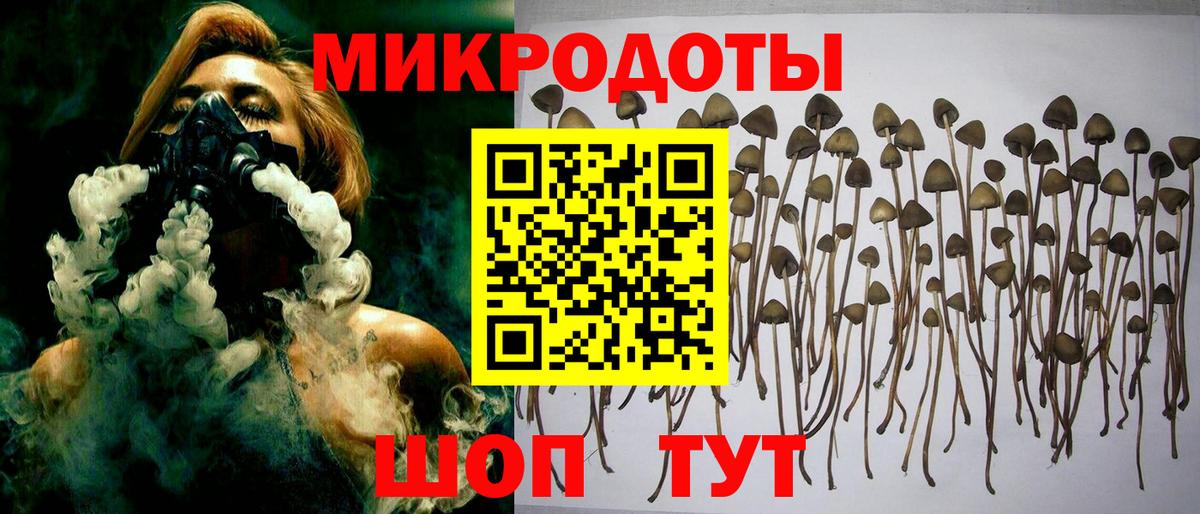 Галлюциногенные грибы прущие грибы  Вход с VPN  Томск 