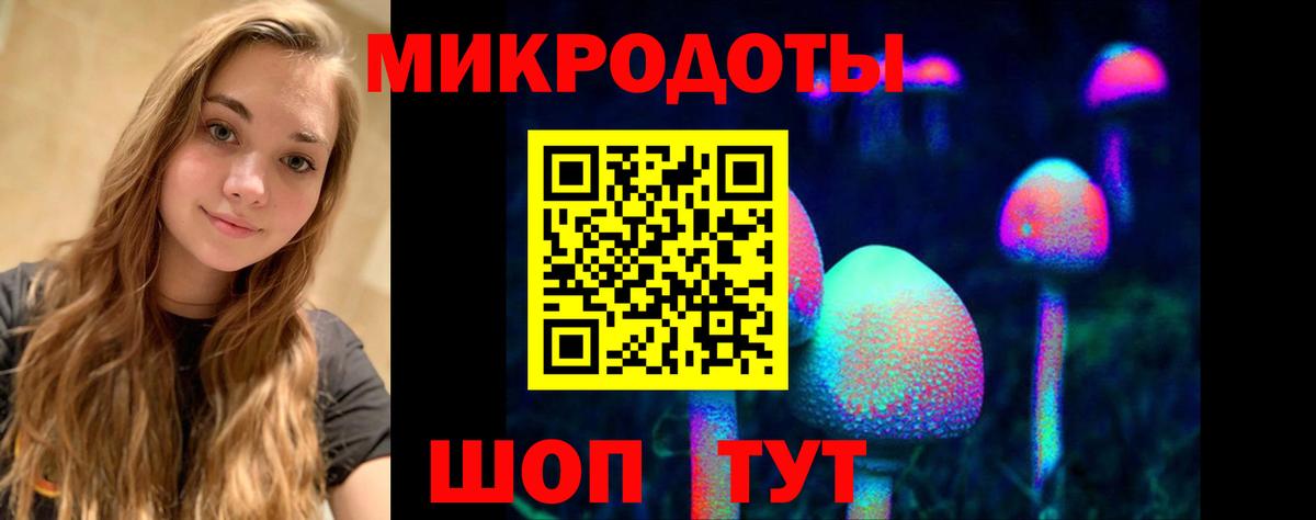Псилоцибиновые грибы MAGIC MUSHROOMS  Галлюциногенные грибы Psilocybe  Томск 