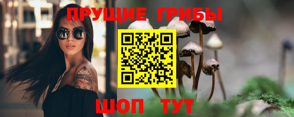 Псилоцибиновые грибы Magic Shrooms Томск